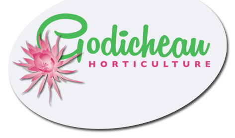 Logo Godicheau Horticulture